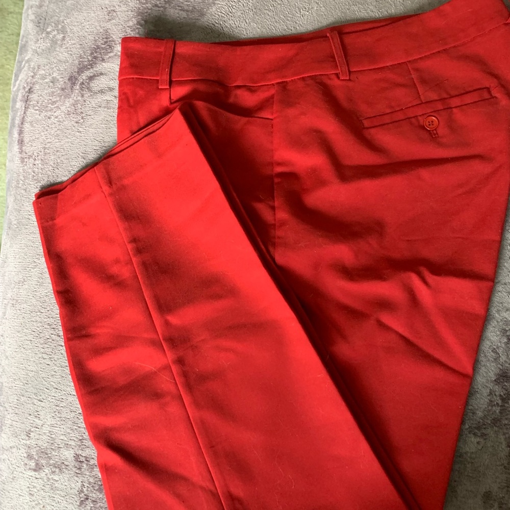 Eloquii Kady pant
